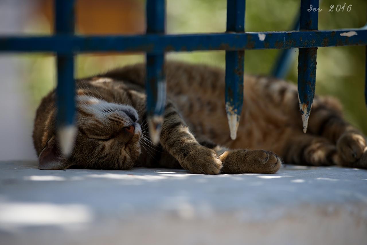 Porto Villa Vlychada Dış mekan fotoğraf